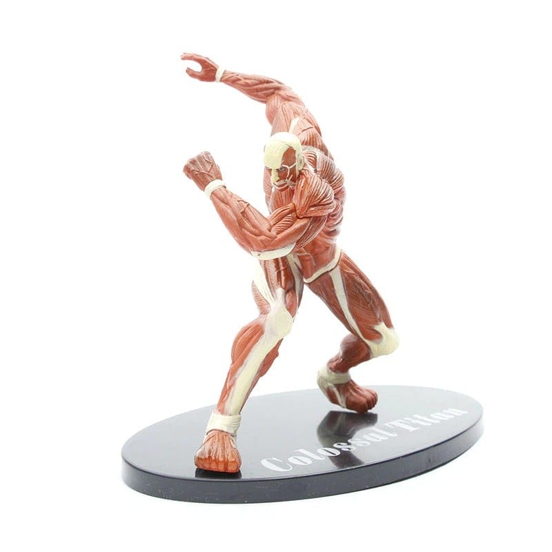 Figurine SNK Titan Colossal Figurama Shop